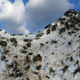 Illustration for article titled Massive spiderwebs engulf Australian town as arachnids escape floods